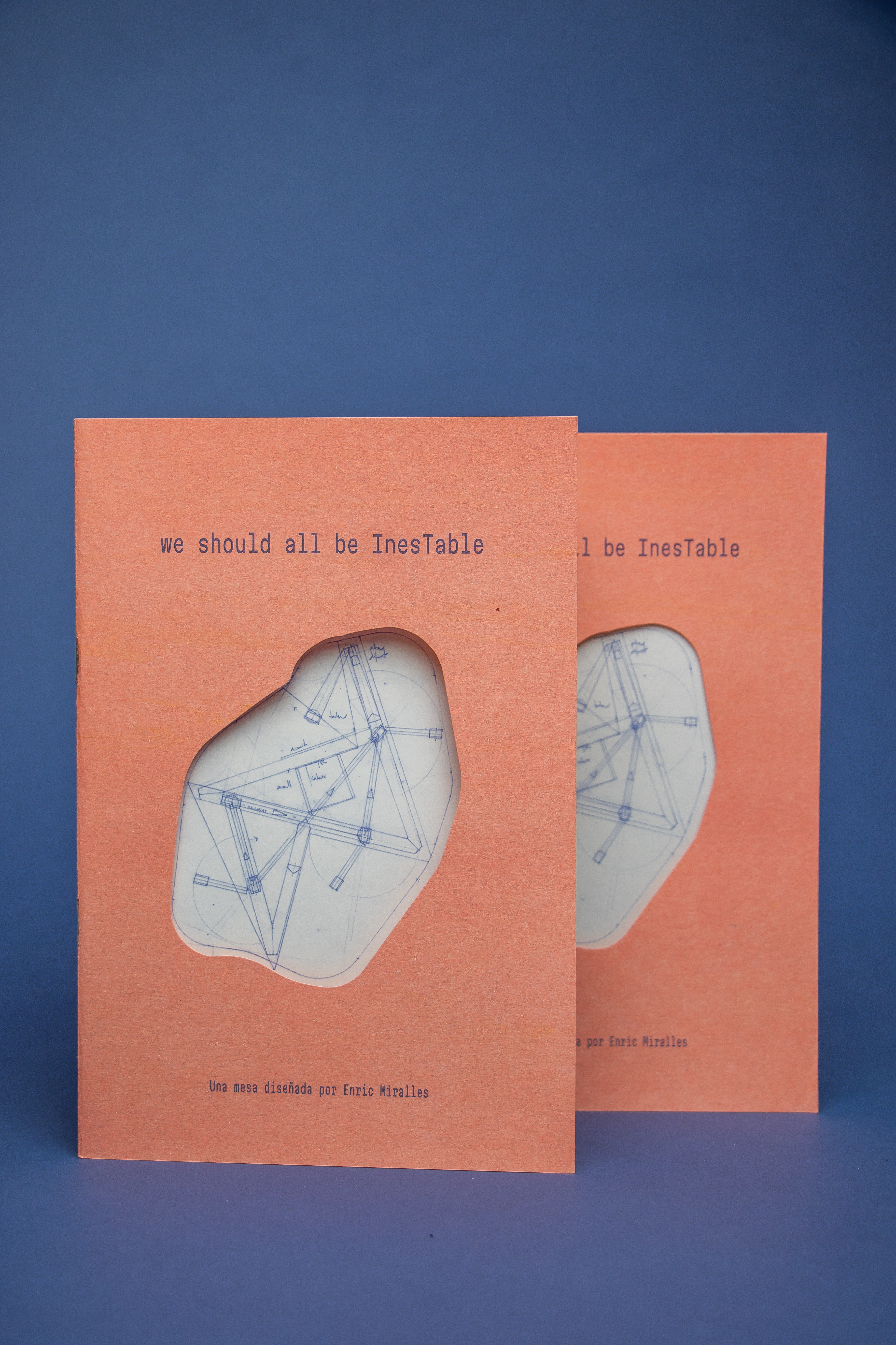 we-should-all-be-inestable